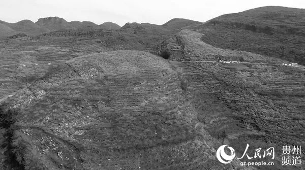 陈登洲家住贵州安顺市普定县陈堡村梭筛组,这里山高坡陡,乱石嶙峋