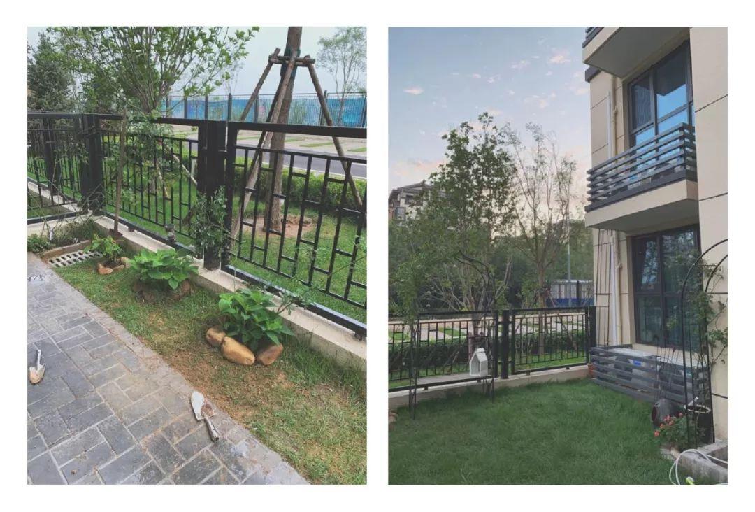 我住在小镇:庭院之美丨花花打造自己洋房花园的故事!