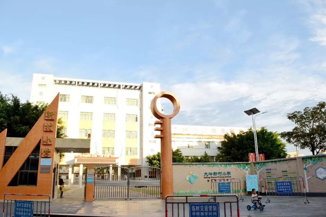 惠东县大岭中心小学图片