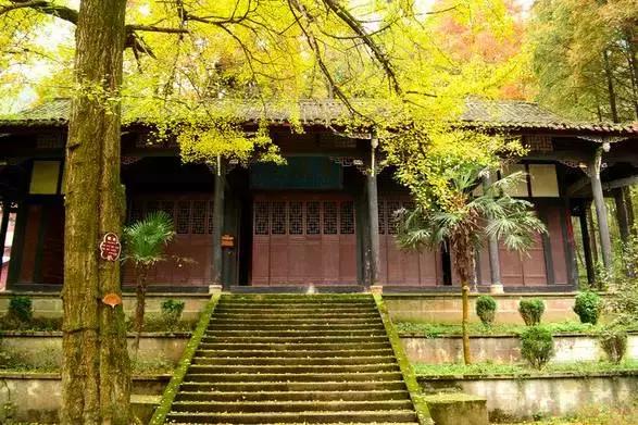 藏在青城山后的绝美民宿赏古寺银杏泡温泉吃美食丨幽道山房