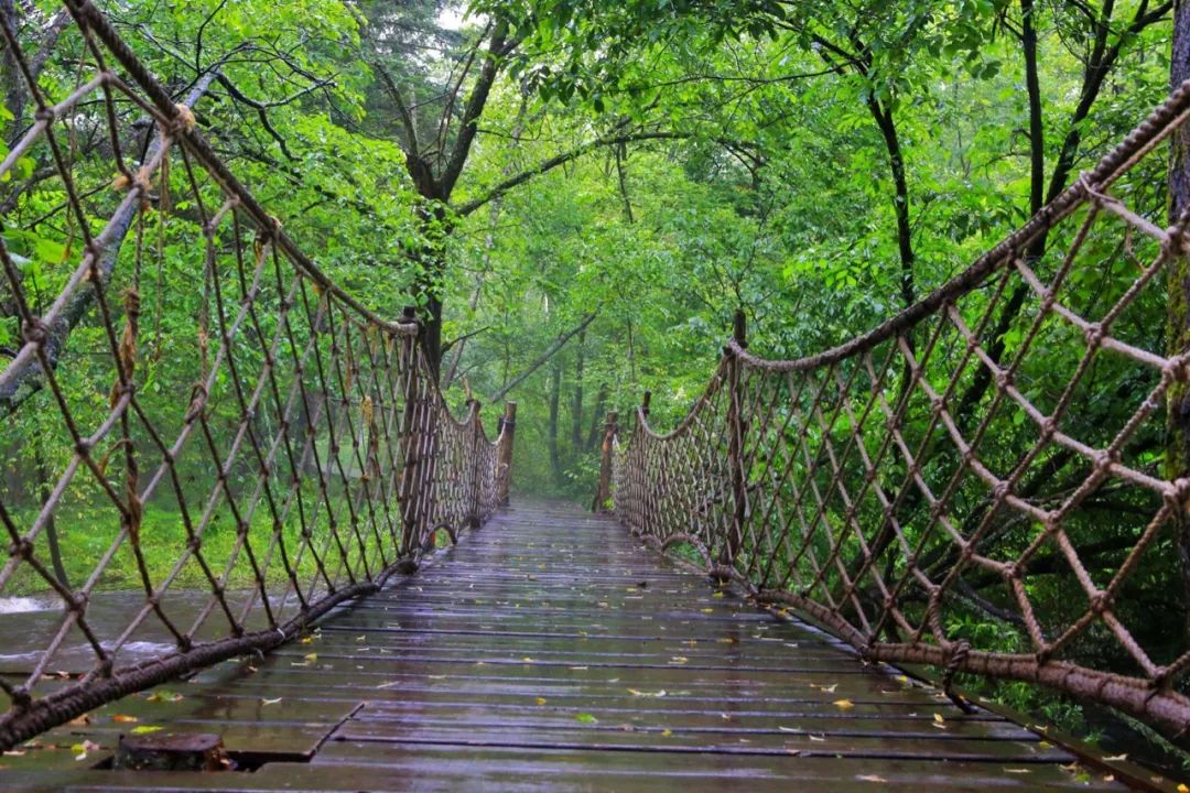 国家林业和草原局公布第三批国家森林步道名单