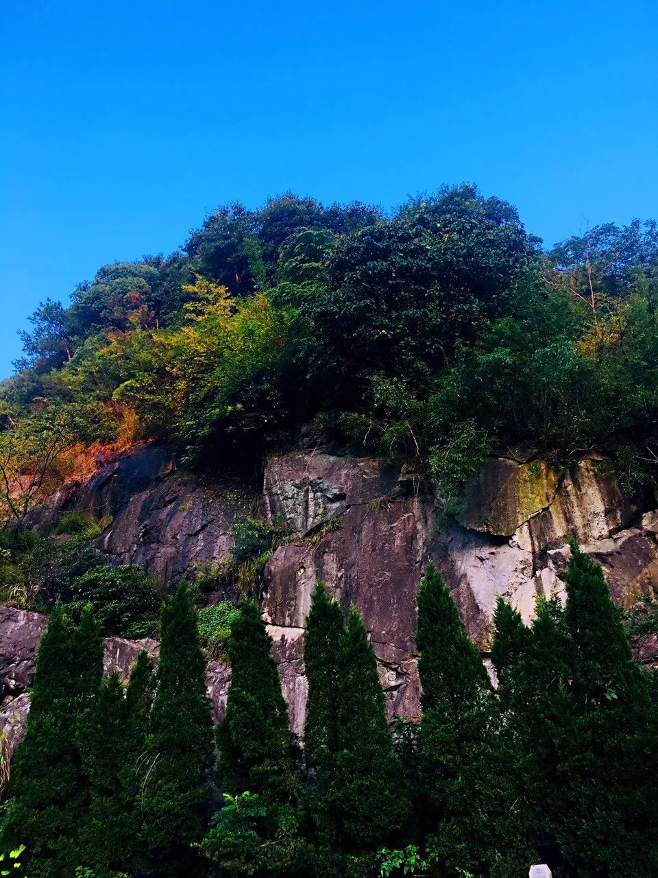 水库边上的山也在开劈林道,听工人说,这林道一直要绕过去和大岩山连接