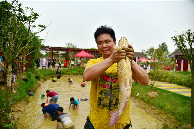 千斤大鱼任游客捉捉到的都可以带回家佛山渔耕园这样优惠游客