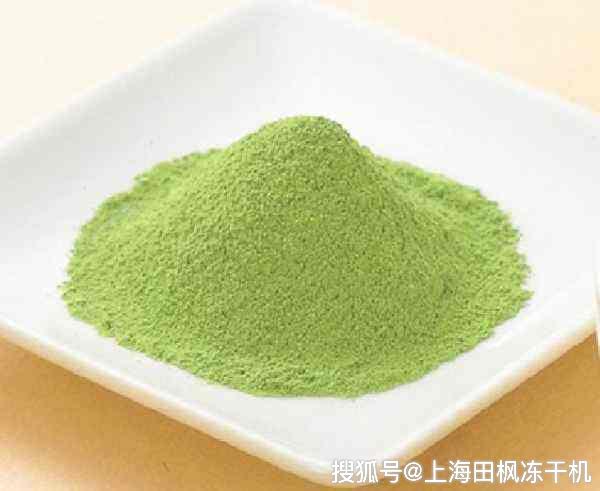 真空冻干机设备在芦笋蔬菜冻干技术工艺