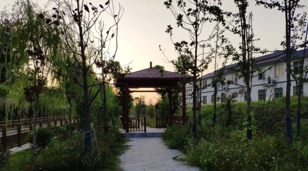利辛县未病村生态园图片