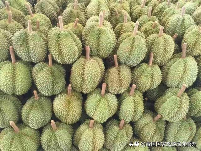 盘点泰国最好吃的榴莲这是一条有味道的头条