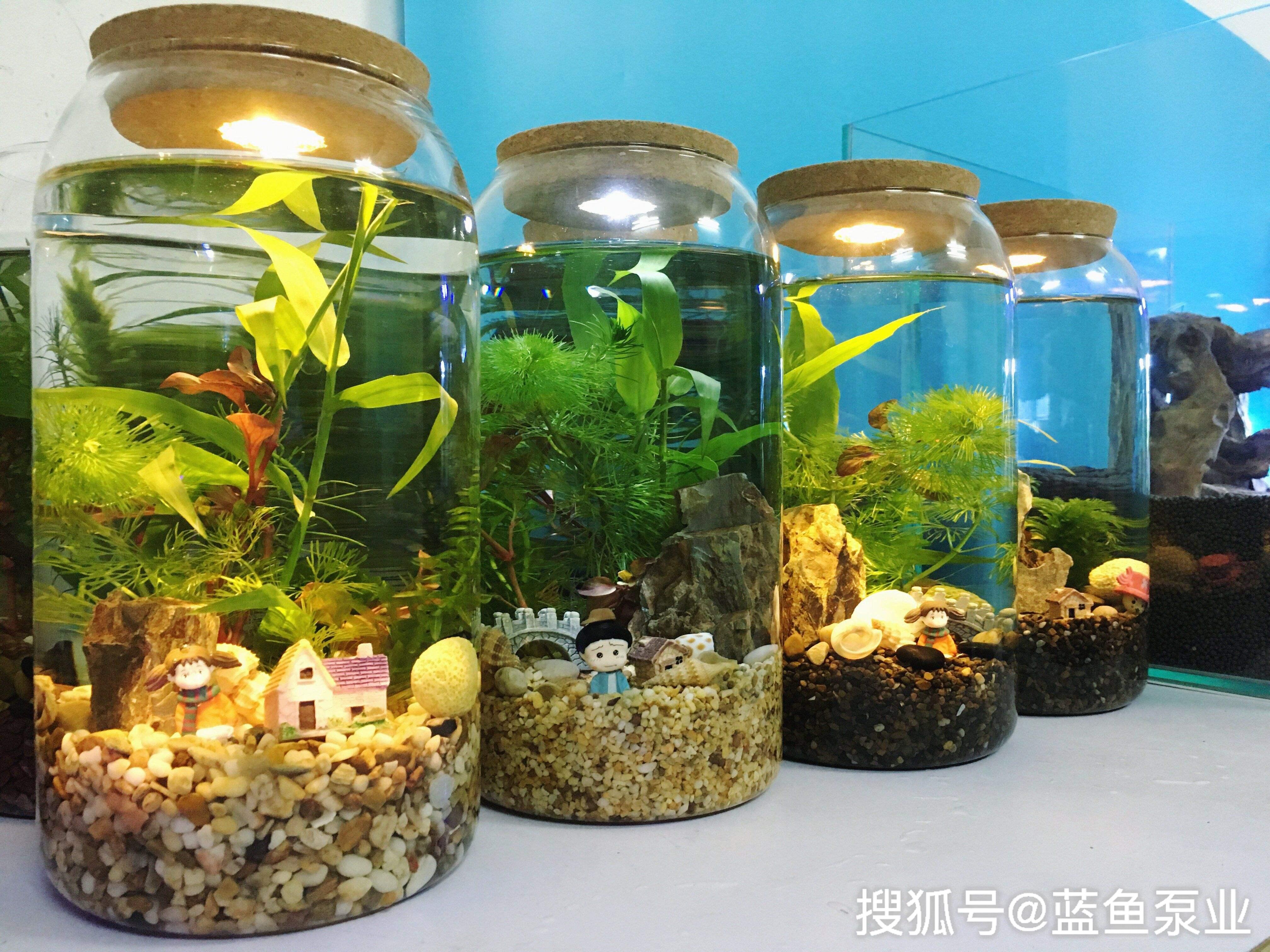 玻璃魚缸裂開了怎麼修補