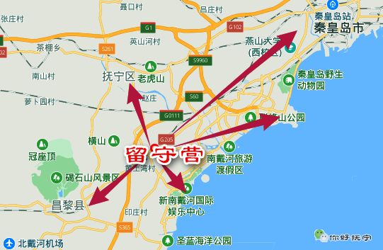 抚宁留守营小杰图片