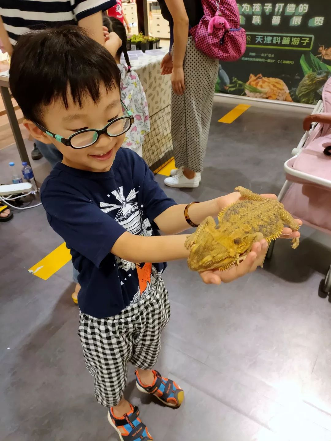 小青蛙鬃狮蜥独角仙等各种小动物在这里等你你可以轻抚它也可以和