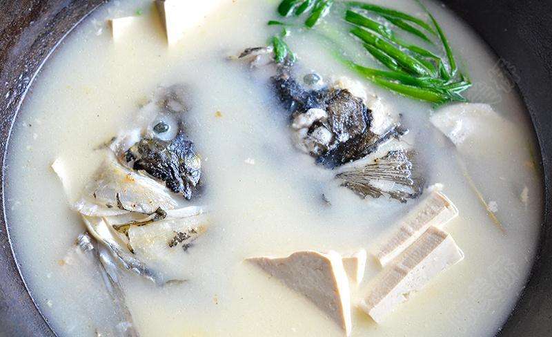 优哺汤小编带来催乳食谱——白菜豆腐鱼头汤