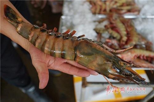 山東青島節日海鮮市場銷售火熱螃蟹大蝦應有盡有