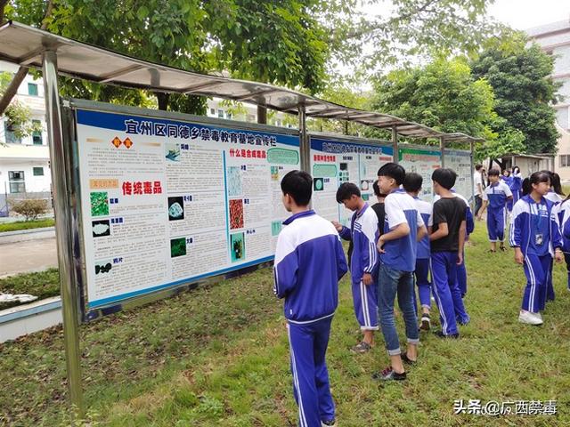 金秋开学季校园话禁毒广西河池市宜州区同德中学将禁毒教育融入安全第