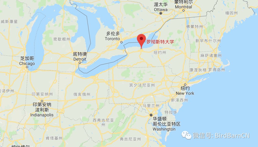 首进top30,罗切斯特大学(university of rochester)这次火了!