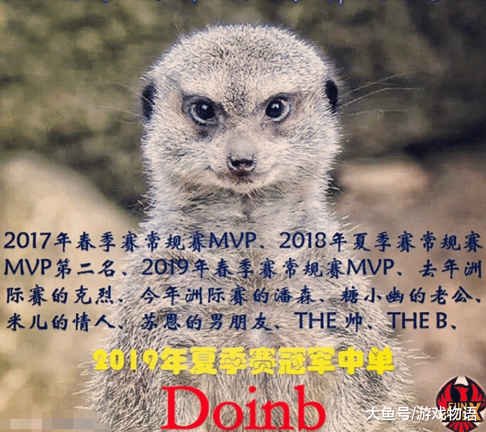 doinb动物图片