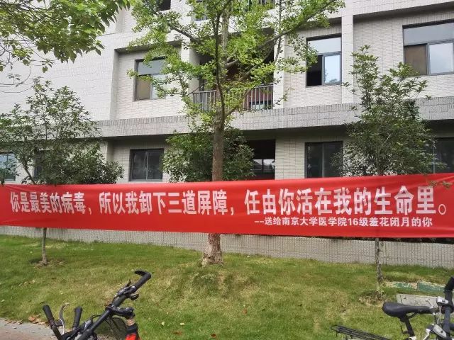 开学季各高校迎新文案真笑死人了