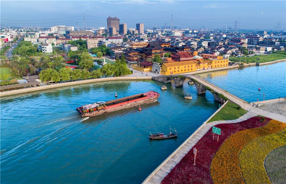 书痴故里千年树王秀洲有七大亭桥楼榭