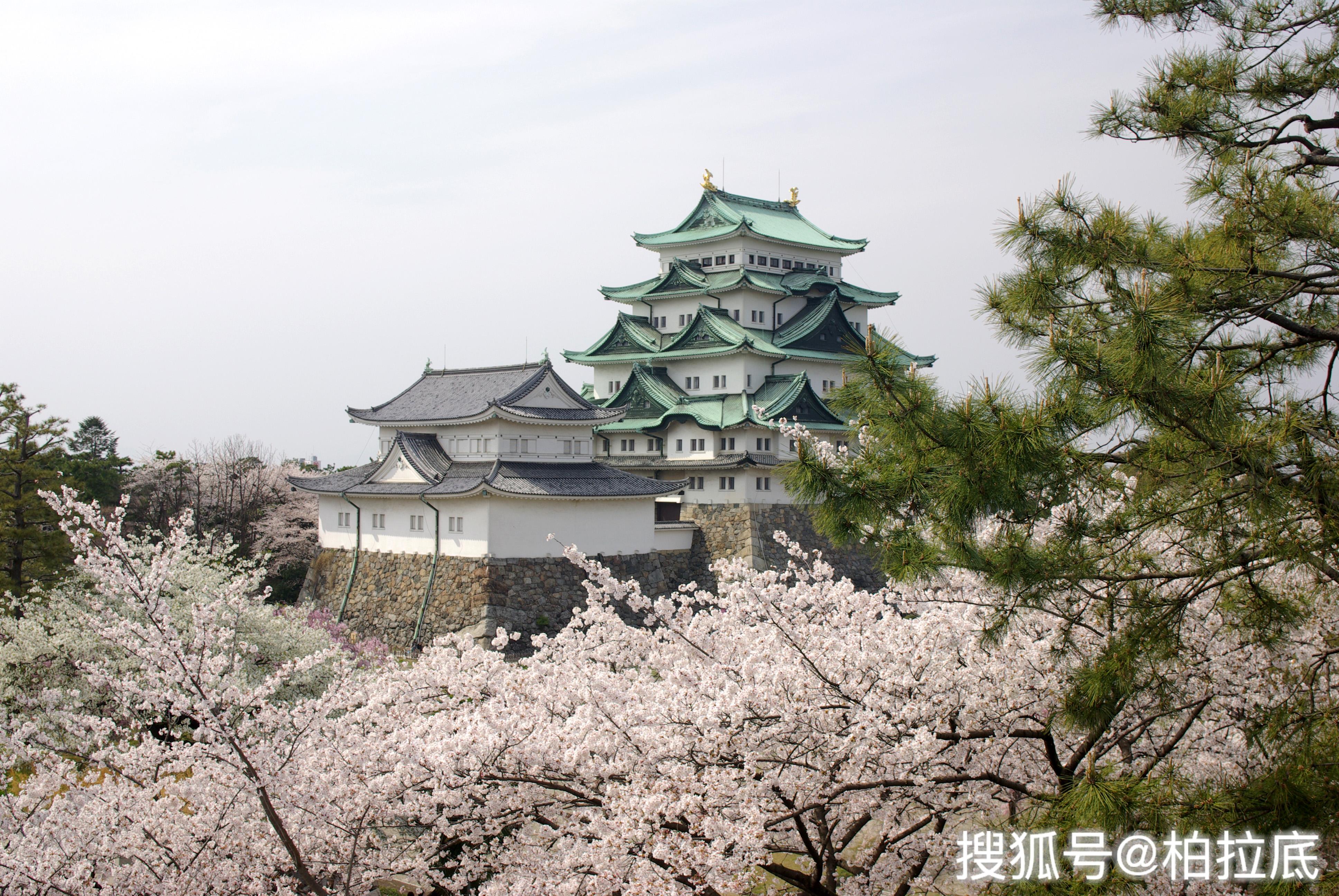 异国风景 名古屋城掠影 搜狐大视野 搜狐新闻