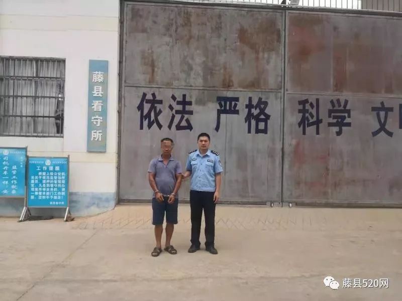 图为犯罪嫌疑人陈某生已被藤县森林公安局民警送往藤县看守所看押9月6