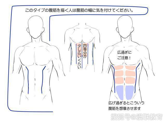 教材男性上半身形体认识part1专业漫画绘画培训课程