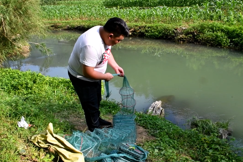 农村小伙在河中放地笼用猪肝作为饵料这样放地笼会有收获吗