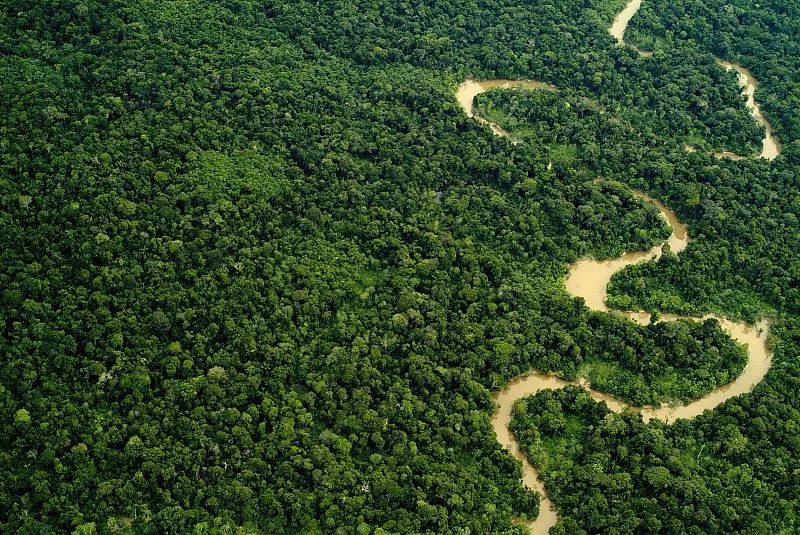 刚果热带雨林面积图片