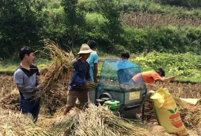 给城里娃科普一下宁远的农忙双抢季