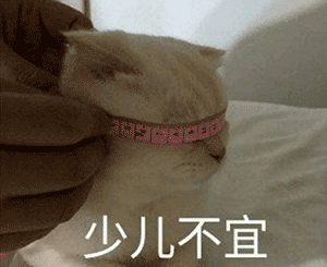 搞笑表情包表情包马上给我安排帅哥