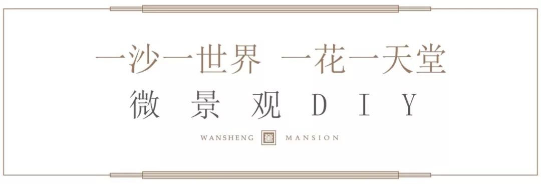 登录查看大图