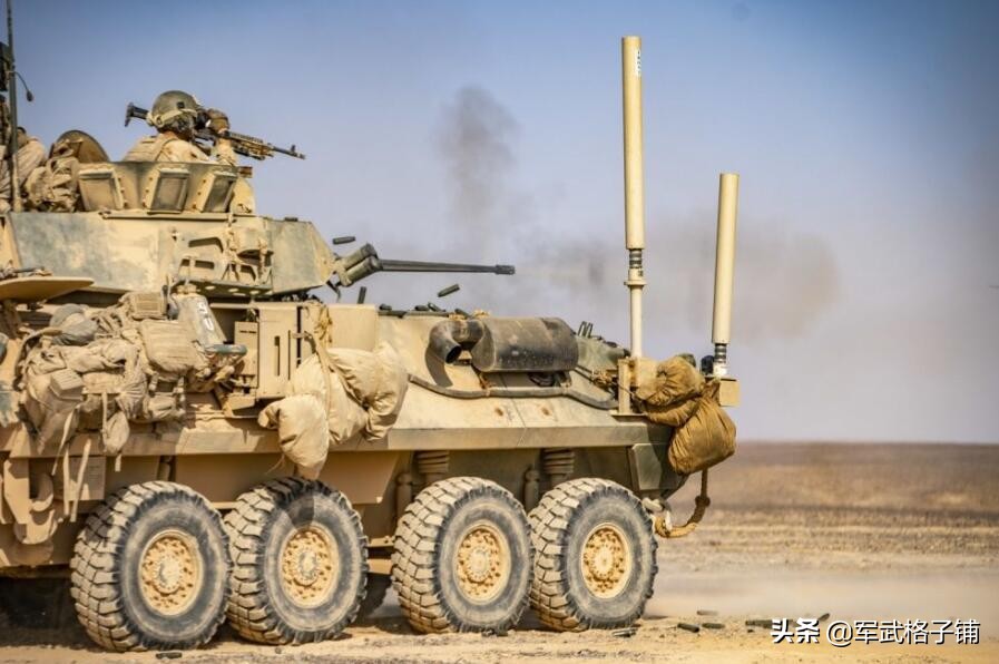 1/ 10 近日,美国海军陆战队第11远征部队在约旦进行了轻型装甲车(lav)
