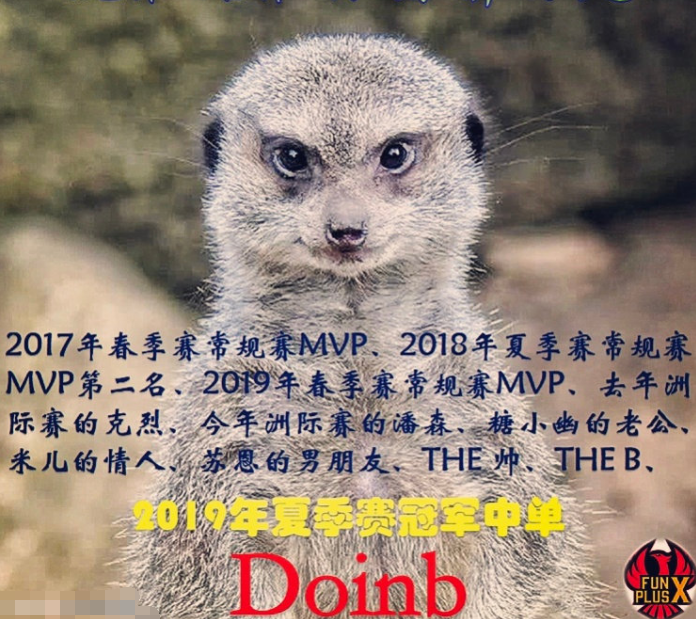 doinb动物图片