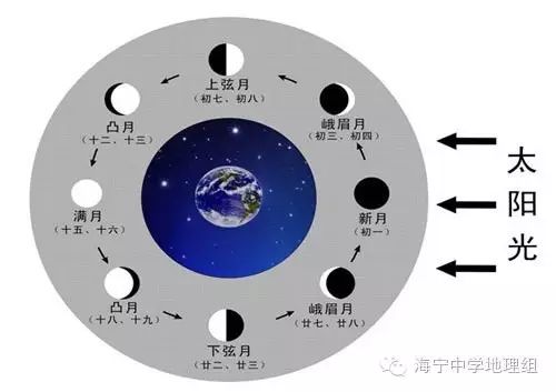 新月——娥眉月——上弦月——凸月——滿月 ——凸月——下弦月