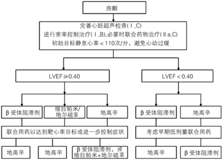 ③洋地黄类:地高辛,西地兰 ④胺碘酮