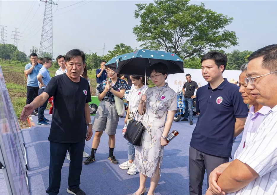 吕墅社区,丁家村委分别与武进阳湖萝卜干,卜源食品现场签订萝卜收购