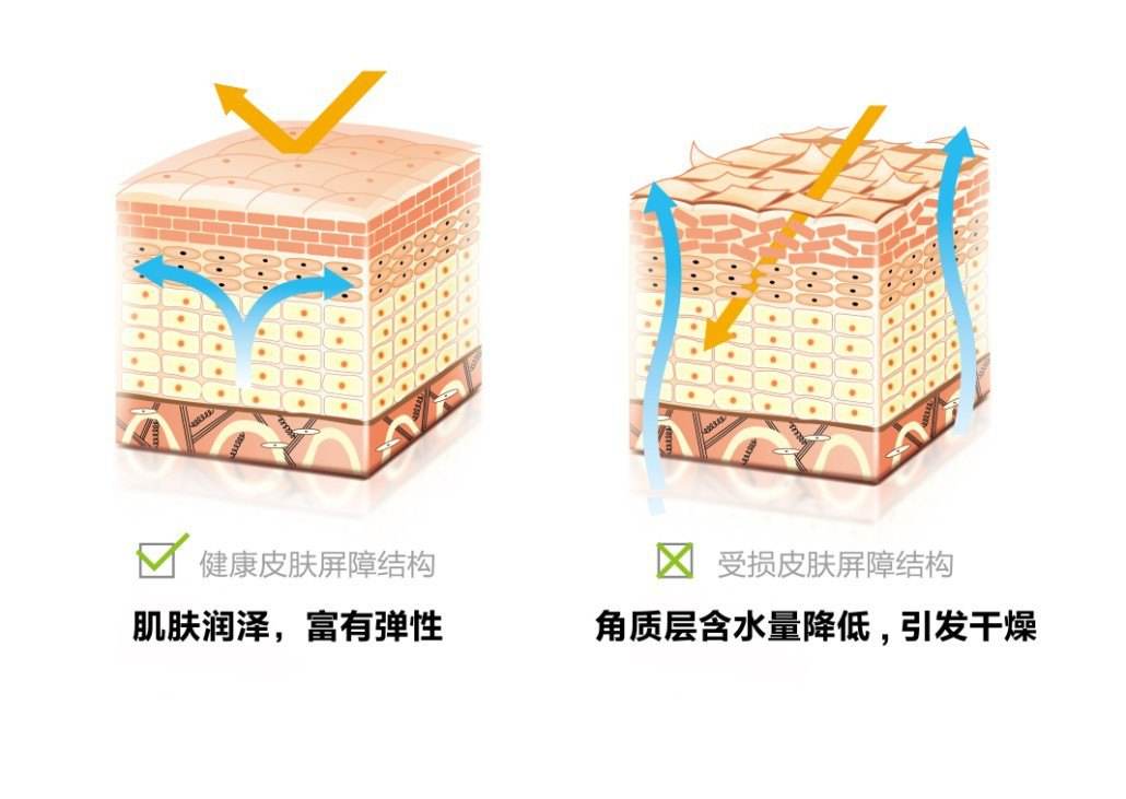 清言清雨皮膚鬆弛下垂地吸引力令人害怕抗老怎能停