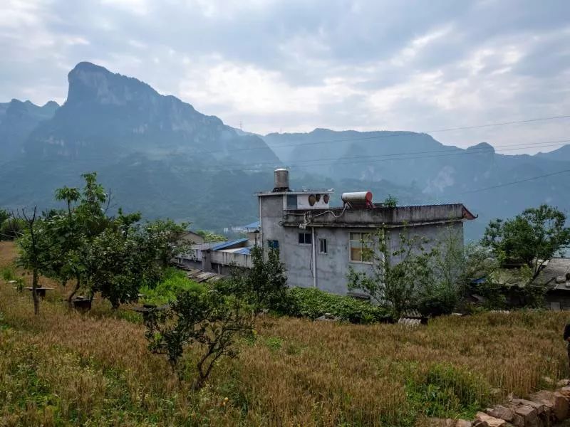 莲沱村五组的胡宏秀家认为美丽庭院就是要绿色,环保,干净,整洁,她的