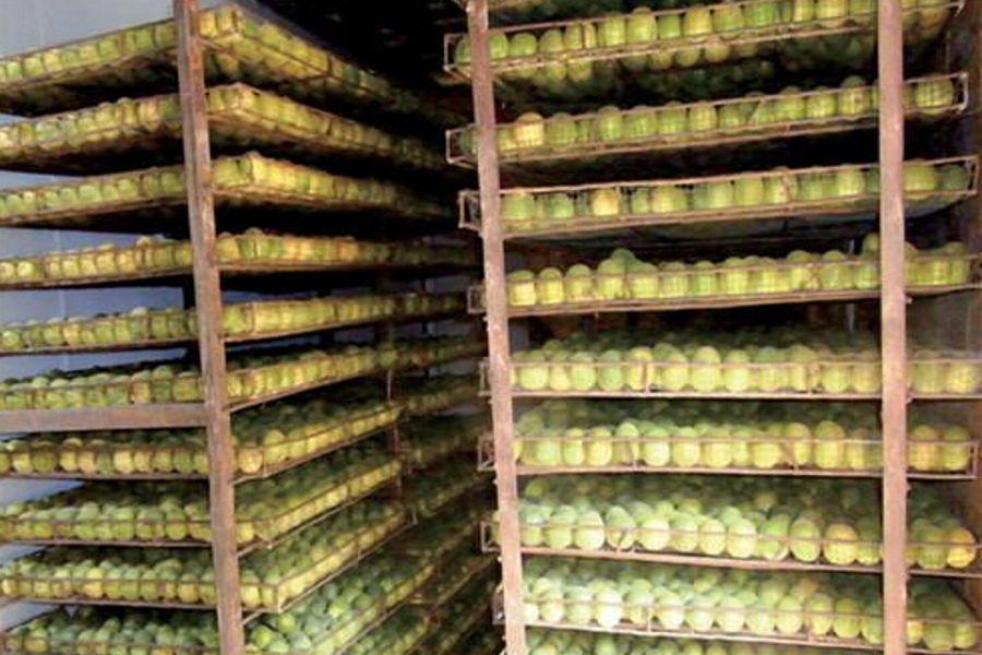 空气能烘干除湿机在烘烤罗汉果的应用