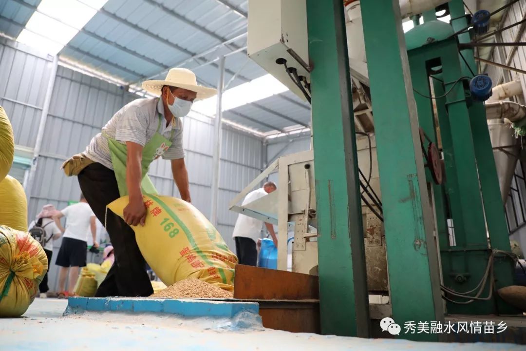 拱洞乡高武村村民在大米加工厂内打米拱洞乡高武村村民在搬运包装好的