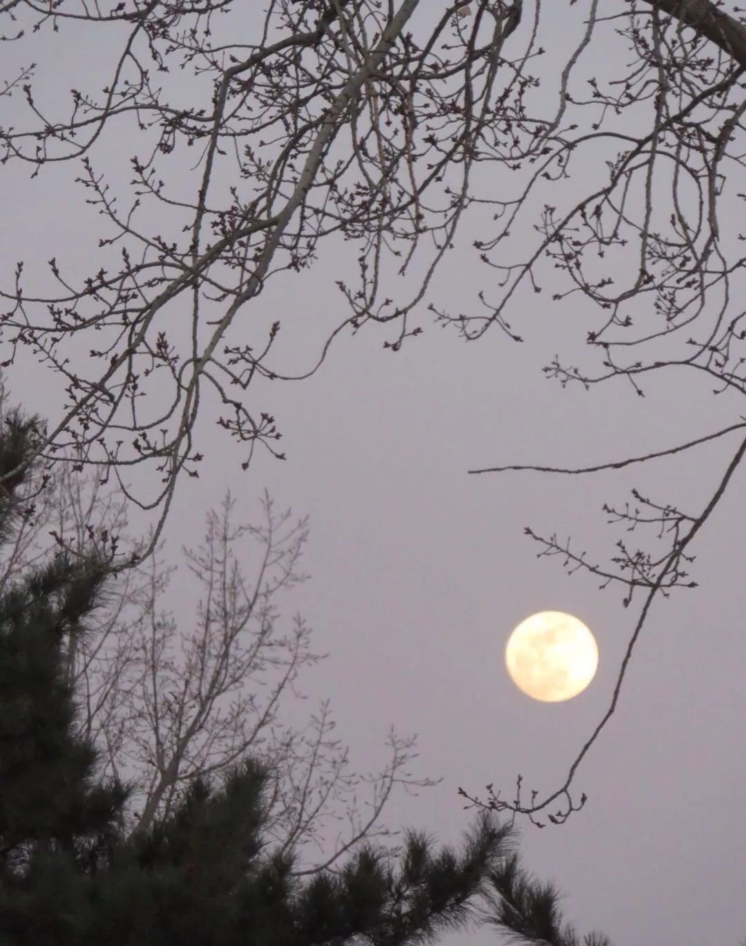 活在心间……人,贴在窗前6868月,就那样痴痴地盼着;就那样甜甜地