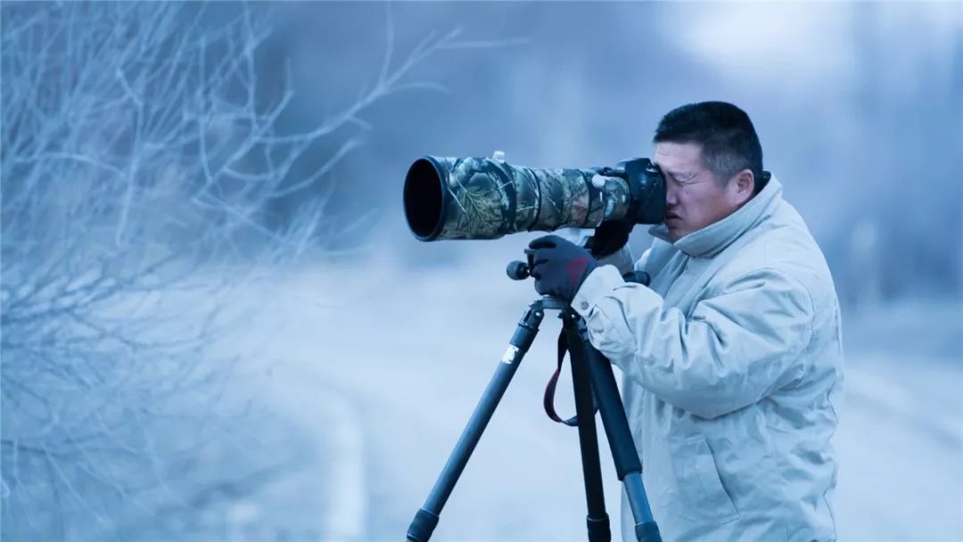 中国著名摄影师评选活动参选人初审作品公示——张健