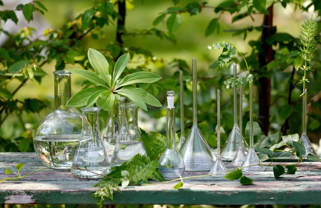 素食沙拉天然面料现在时髦精家里连墙都是植物萃取的