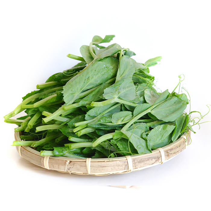 秋天种植豌豆尖正合适学会这5个栽培技巧一个月就能收获