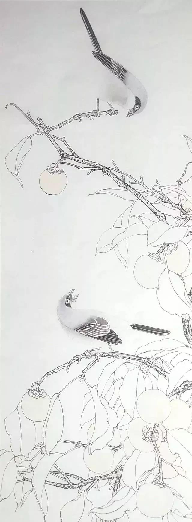 国画工笔教程:画柿子,事事如意,设色步骤