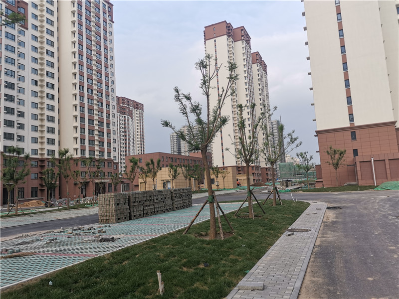 原创首钢二通厂金通阳光苑西城区这处安置房最新进展预计年底精装修