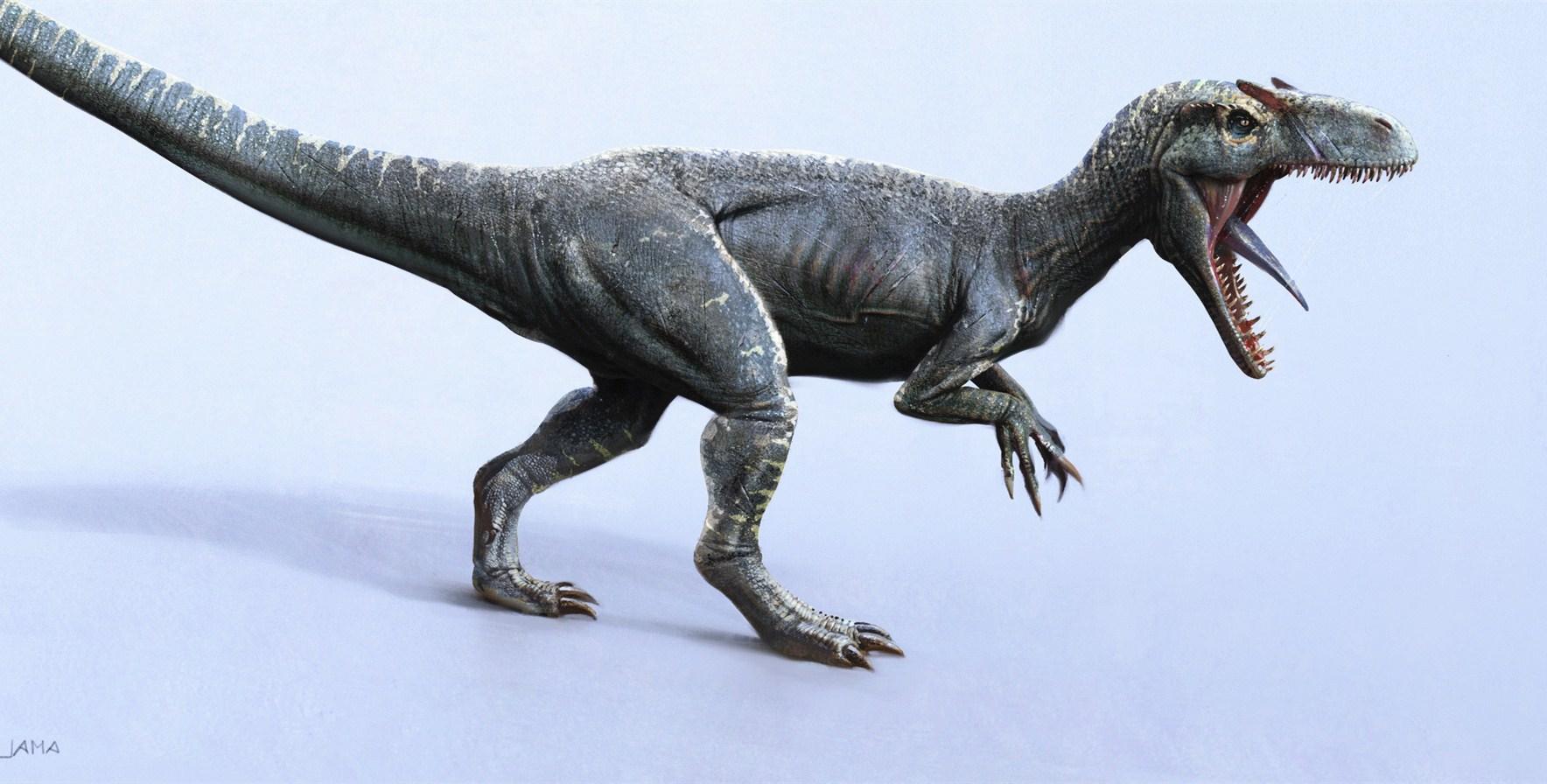 侏罗纪十大食肉恐龙图片