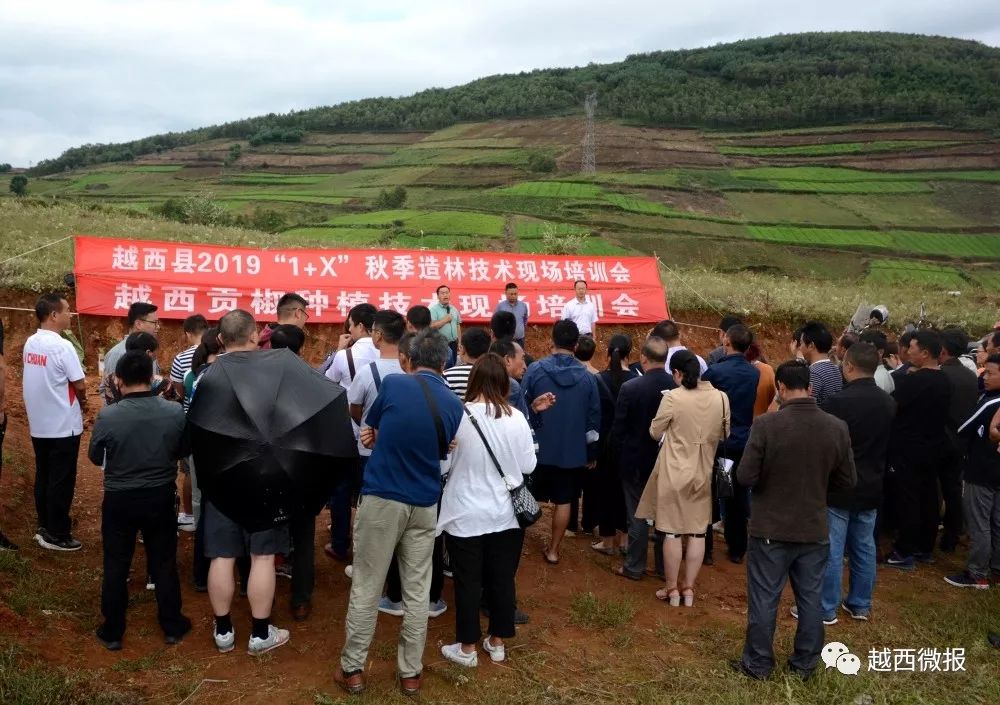 【看点】越西召开2019年秋季"1 x"林业生态产业发展造林现场培训会