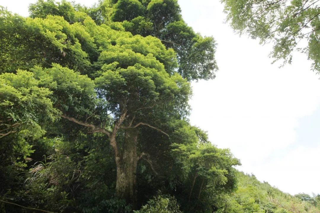 四大看点之四带您品悦2019第十届环中国国际公路自行