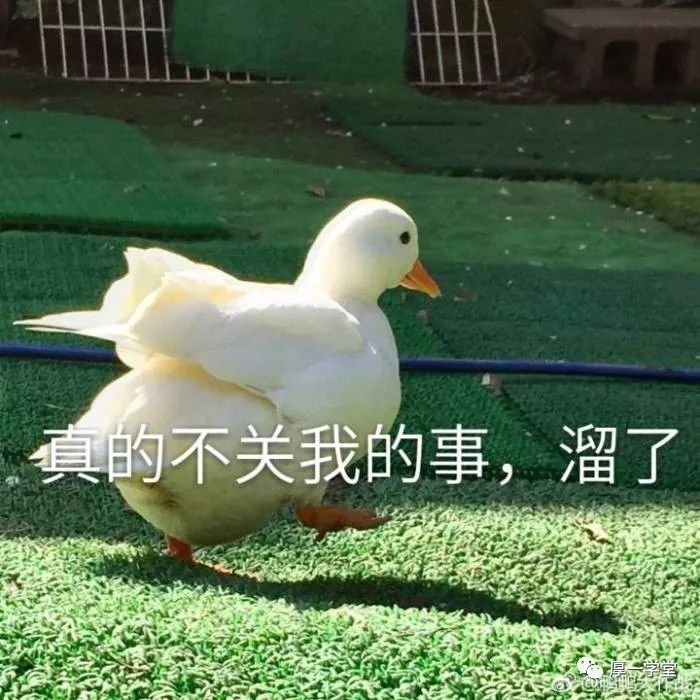 小声bb:叫宇航员肯定不是因为圆啊一大堆表情包即将来袭前方高能75