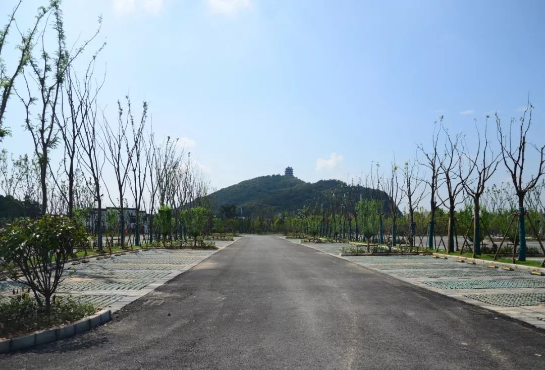 采石风景区将增添一大型停车场!