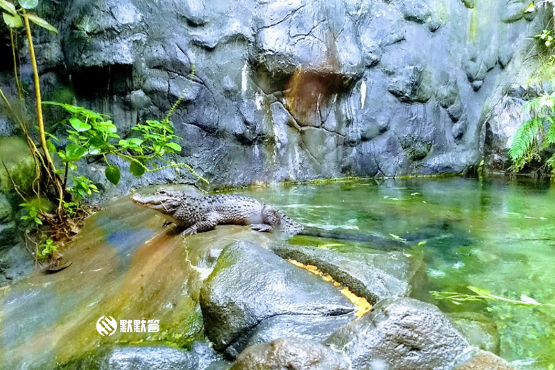 湄公河「mekong river」