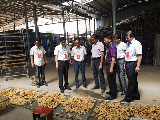 总经理张云一行在县委委员,县人大常委会主任郭建明,县人大常委会副